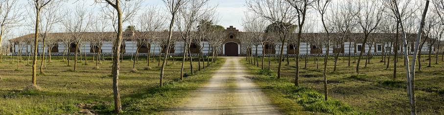 RECREATION FARM WITH FRUITS AND GREAT CORTIJO