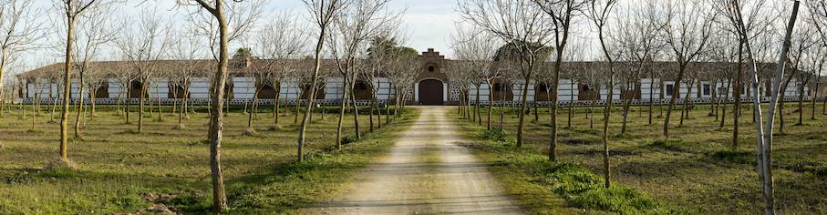 FINCA DE RECREO CON FRUTALES Y GRAN CORTIJO