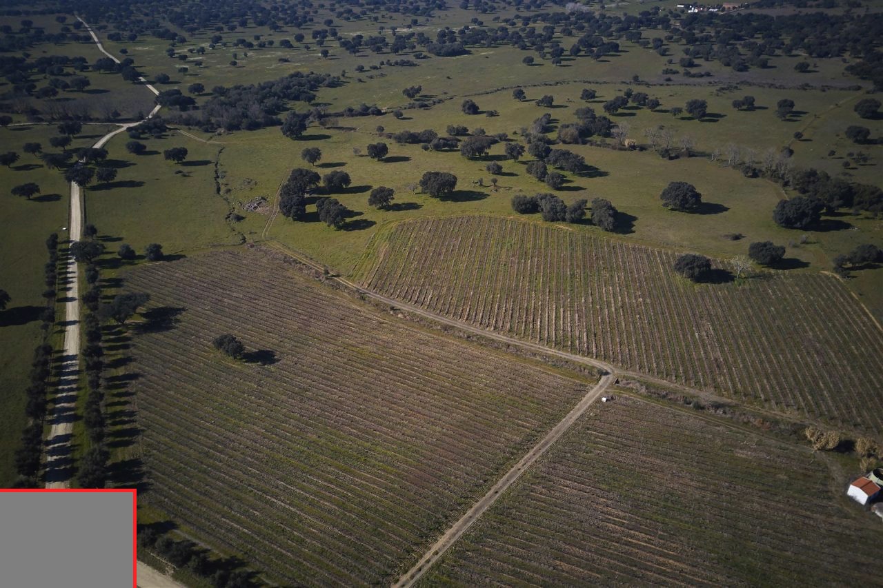  FINCA DE 527 HAS CON UNA GRAN BODEGA