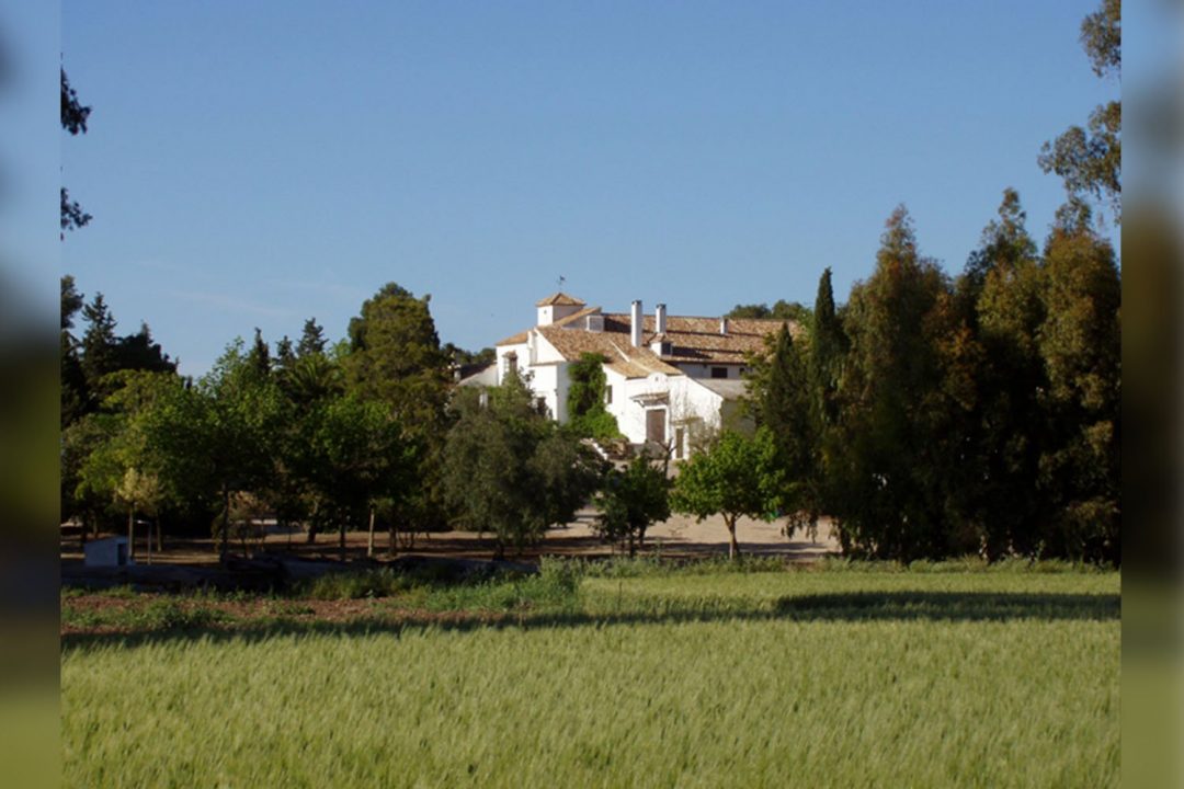 EXTRAORDINARY FINCA IN MALAGA AND GREAT OPPORTUNITY FOR INVESTORS